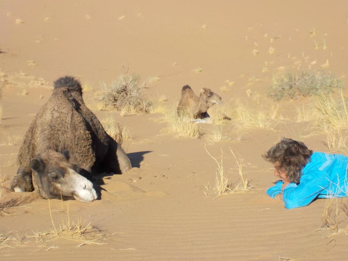 Oasis Tilogui - Luxury Hotel In Zagora Esterno foto